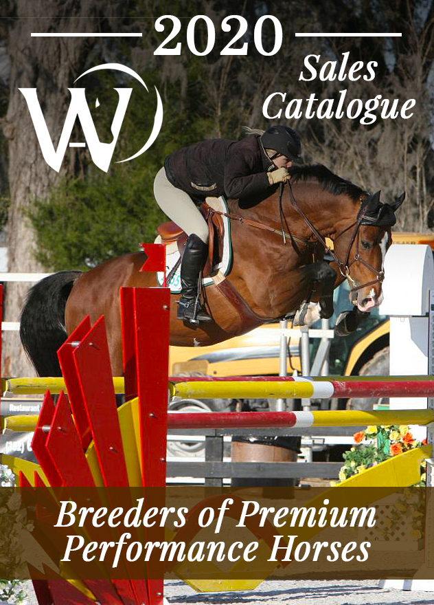W. Charlot Farm 2020 Warmblood Sales Horse Catalogue